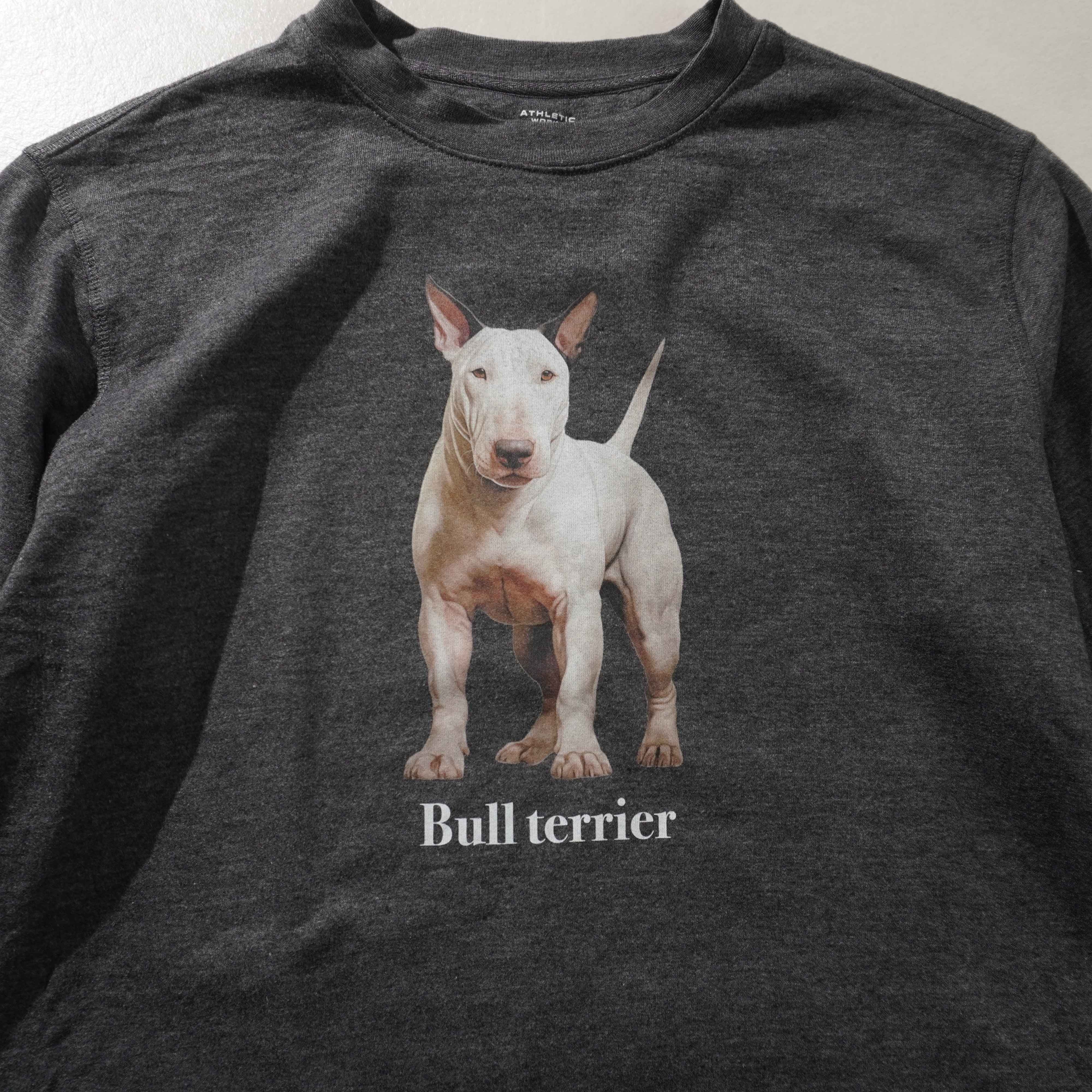 bull terrier sweat gray size M