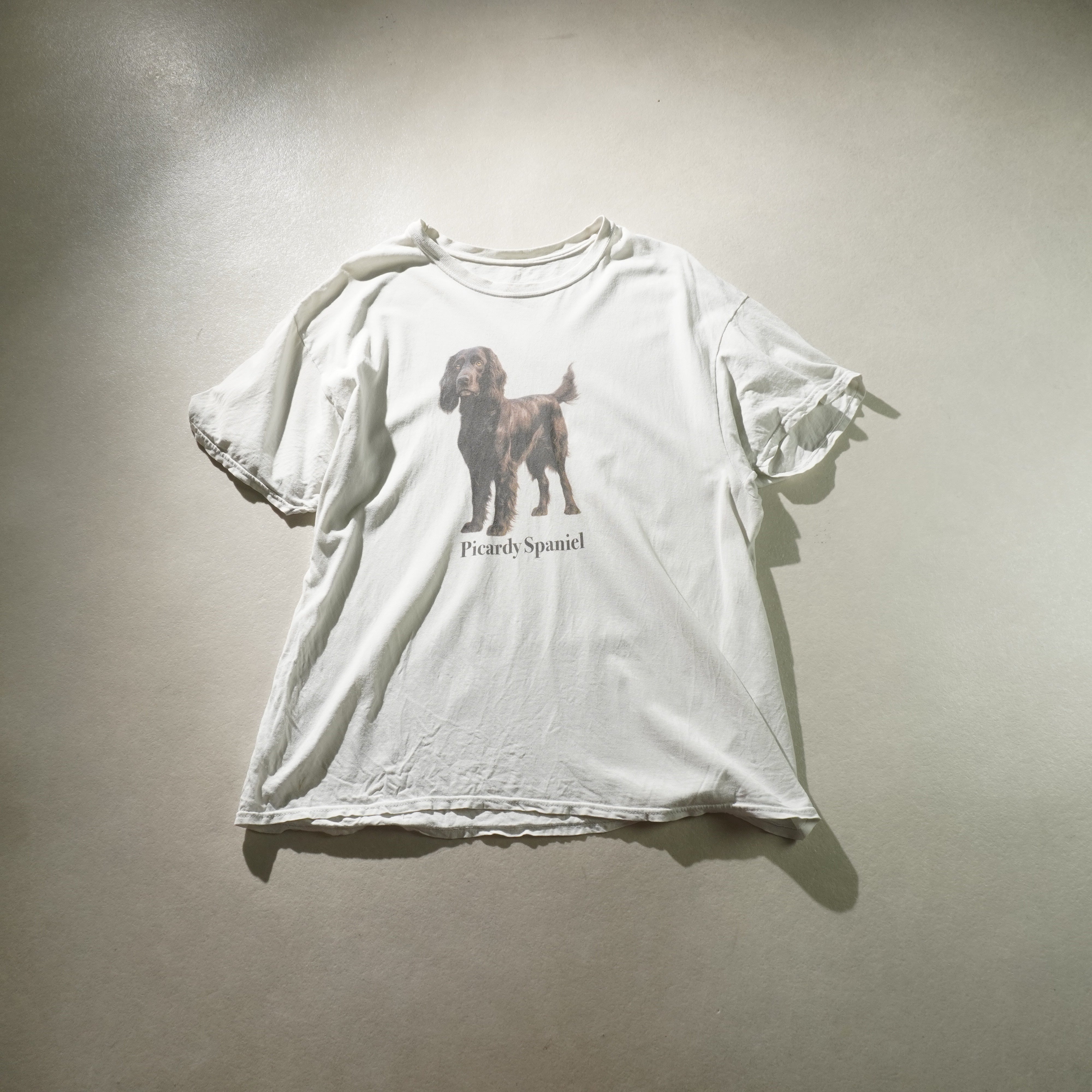 picardy spaniel tee white size XL