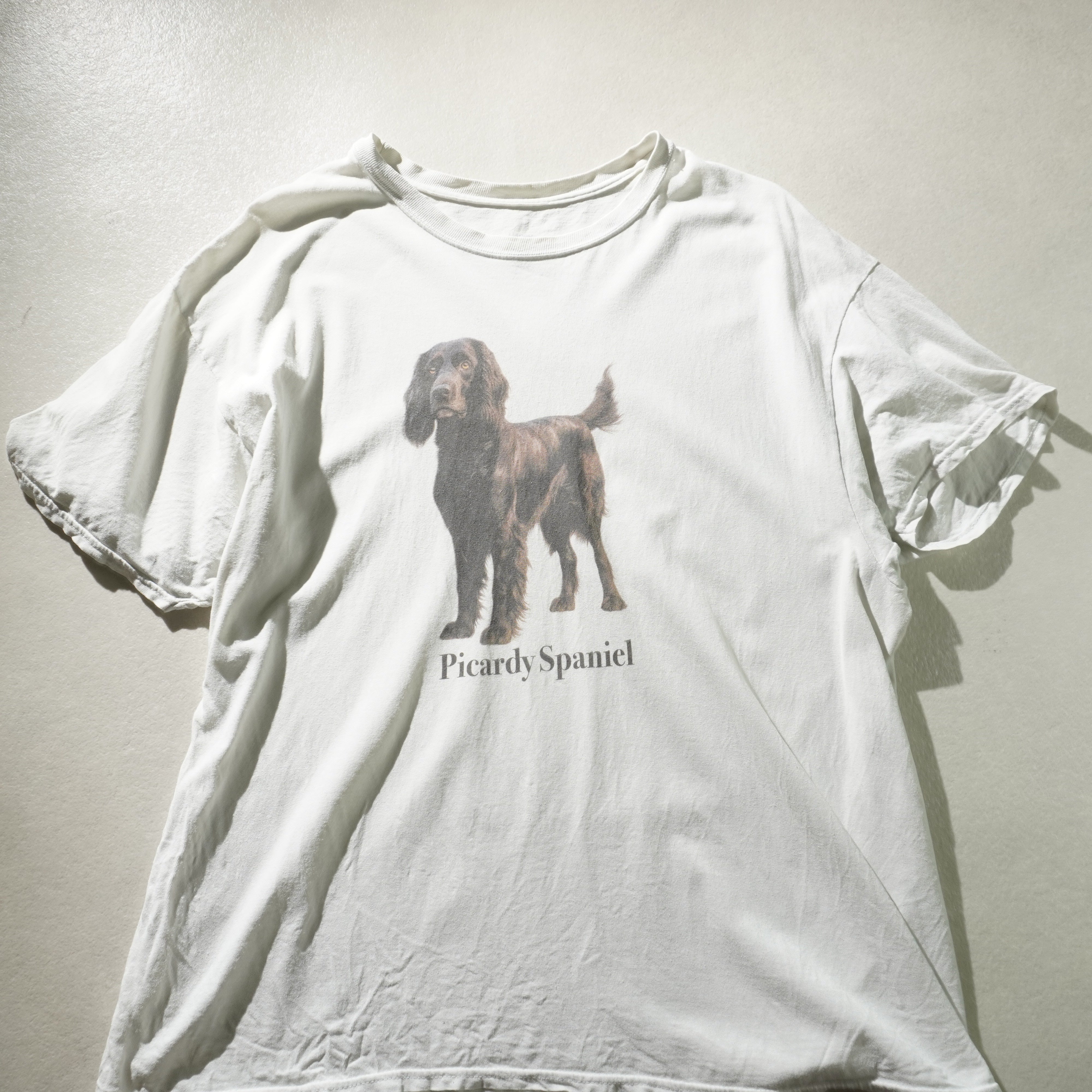 picardy spaniel tee white size XL