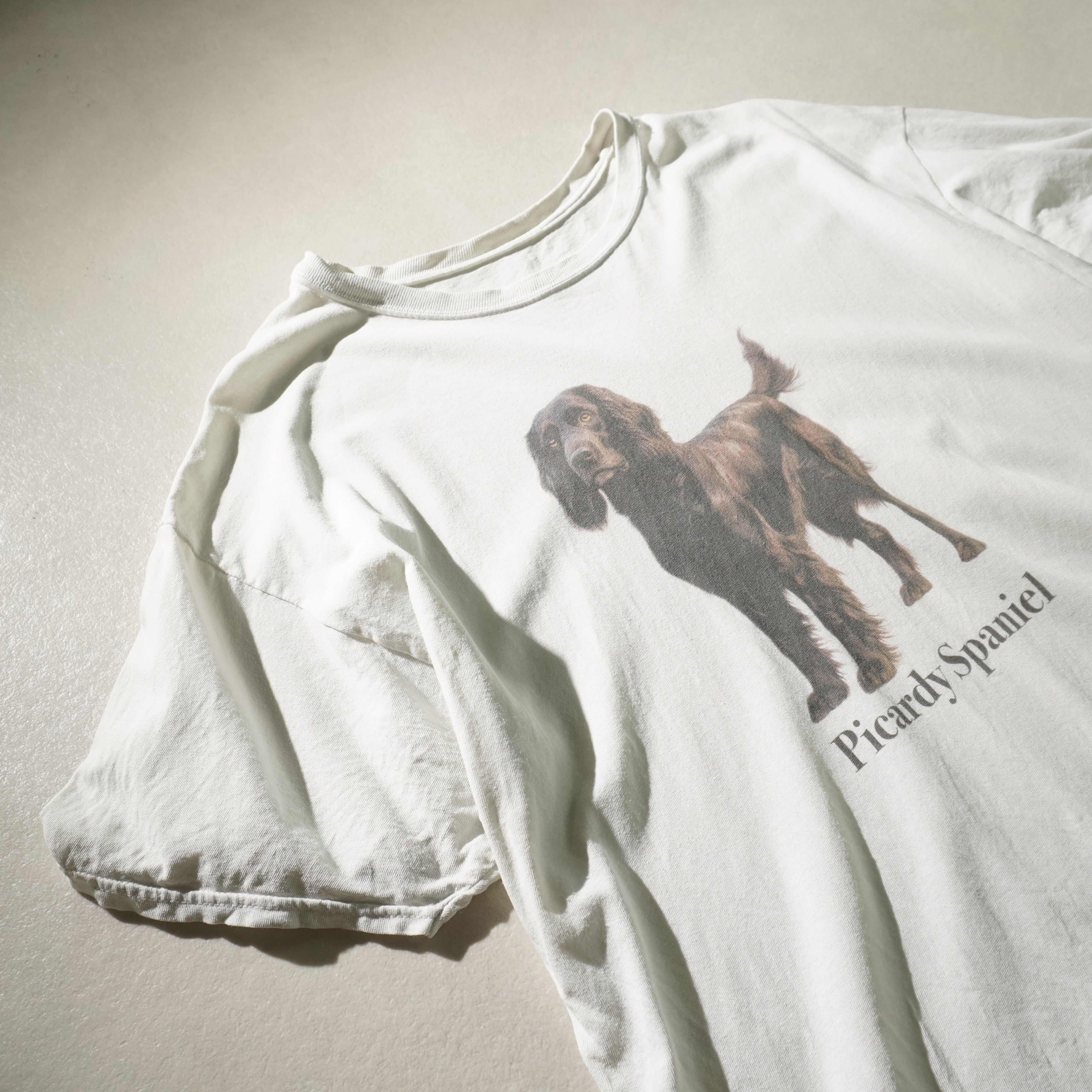 picardy spaniel tee white size XL