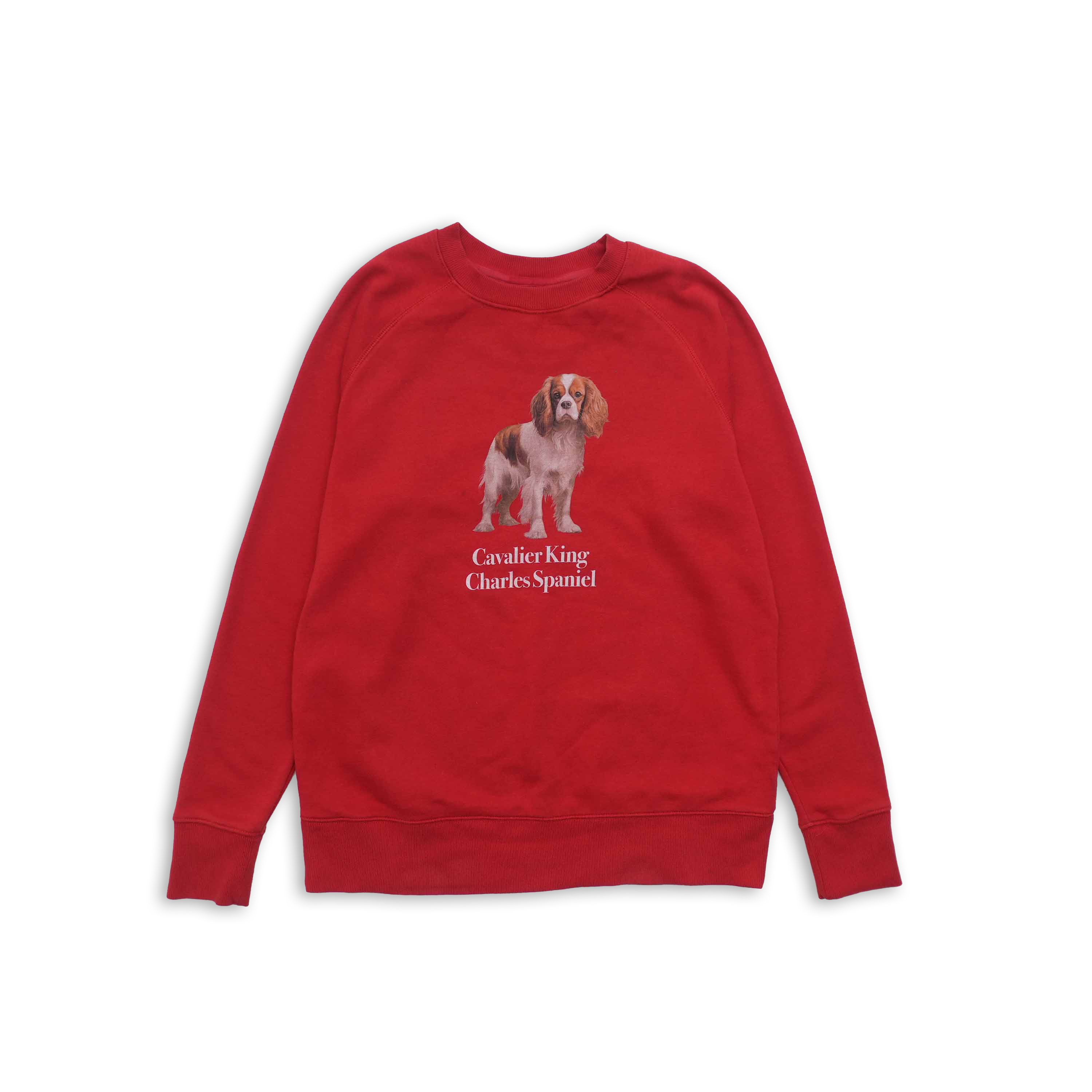 cavalier king charles spaniel sweat red size L