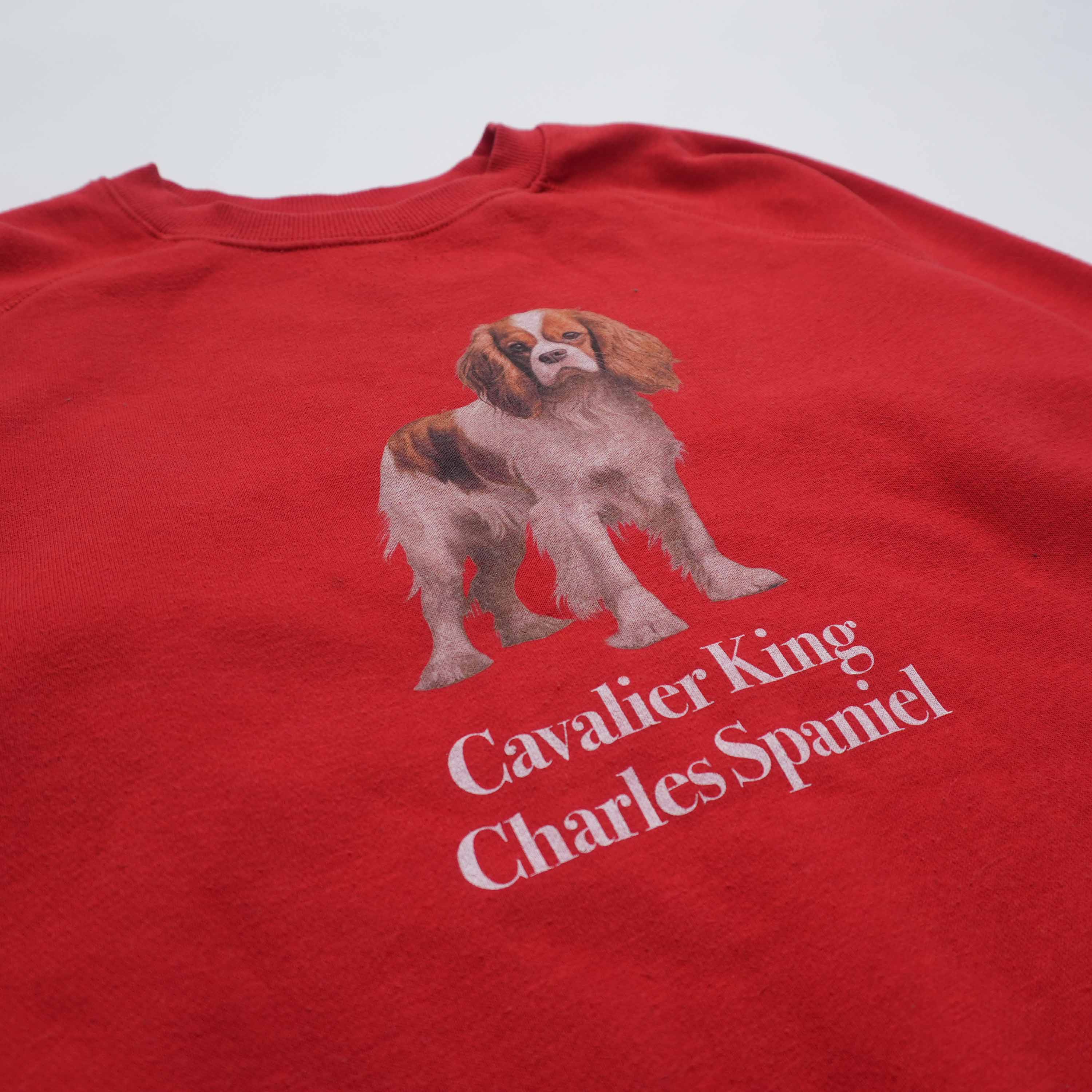 cavalier king charles spaniel sweat red size L