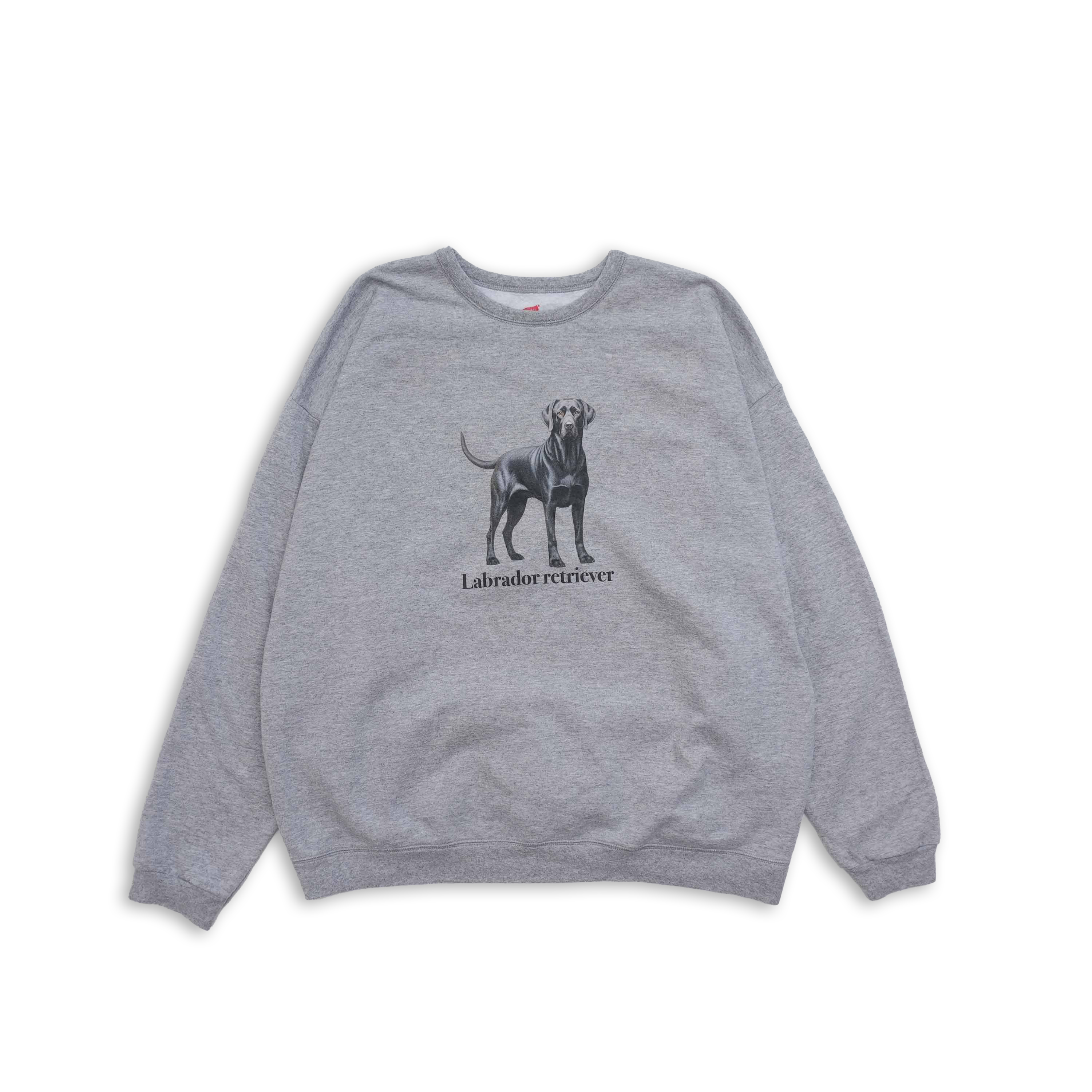 labrador retriever sweat light gray size XL