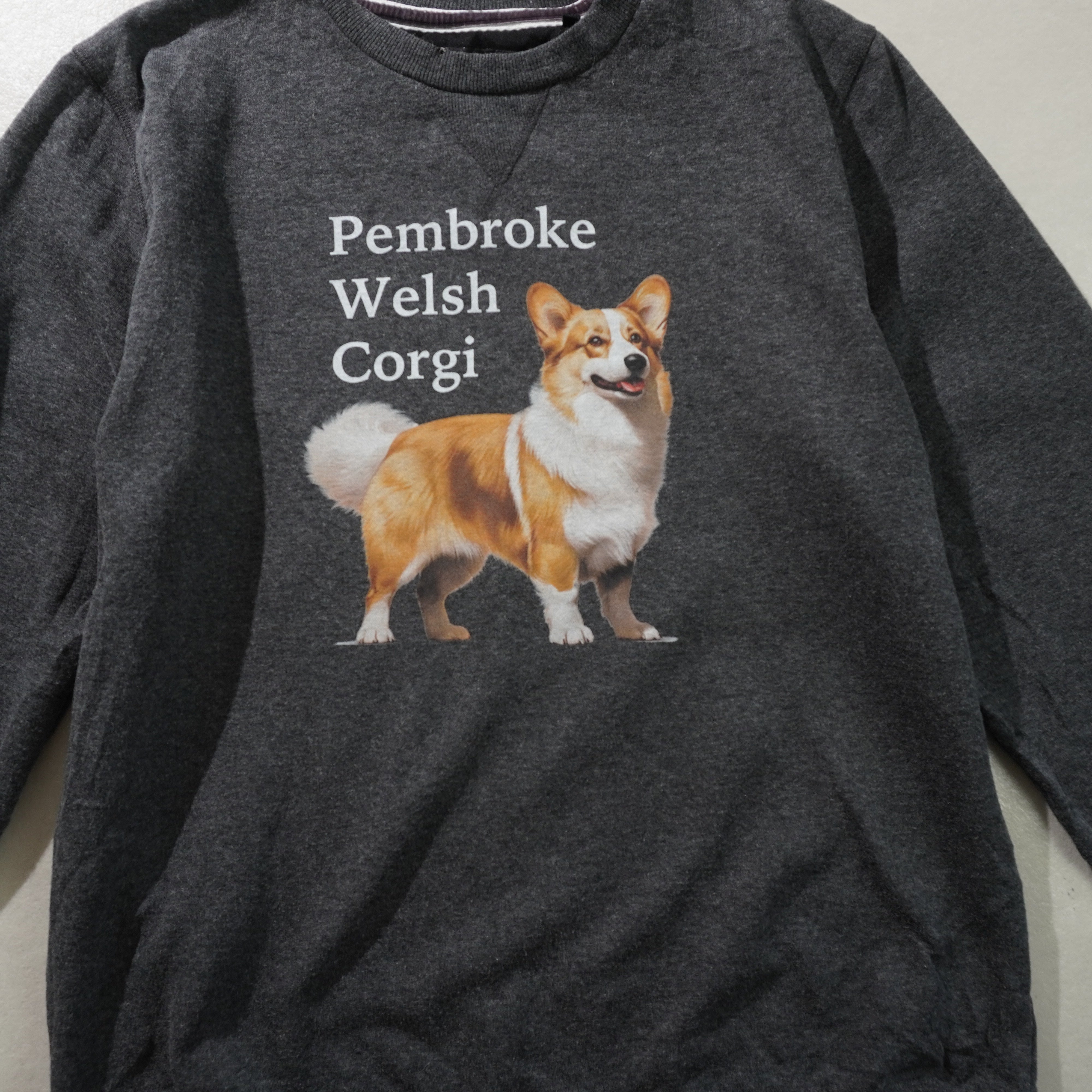 pembroke welsh corgi sweat gray size XL