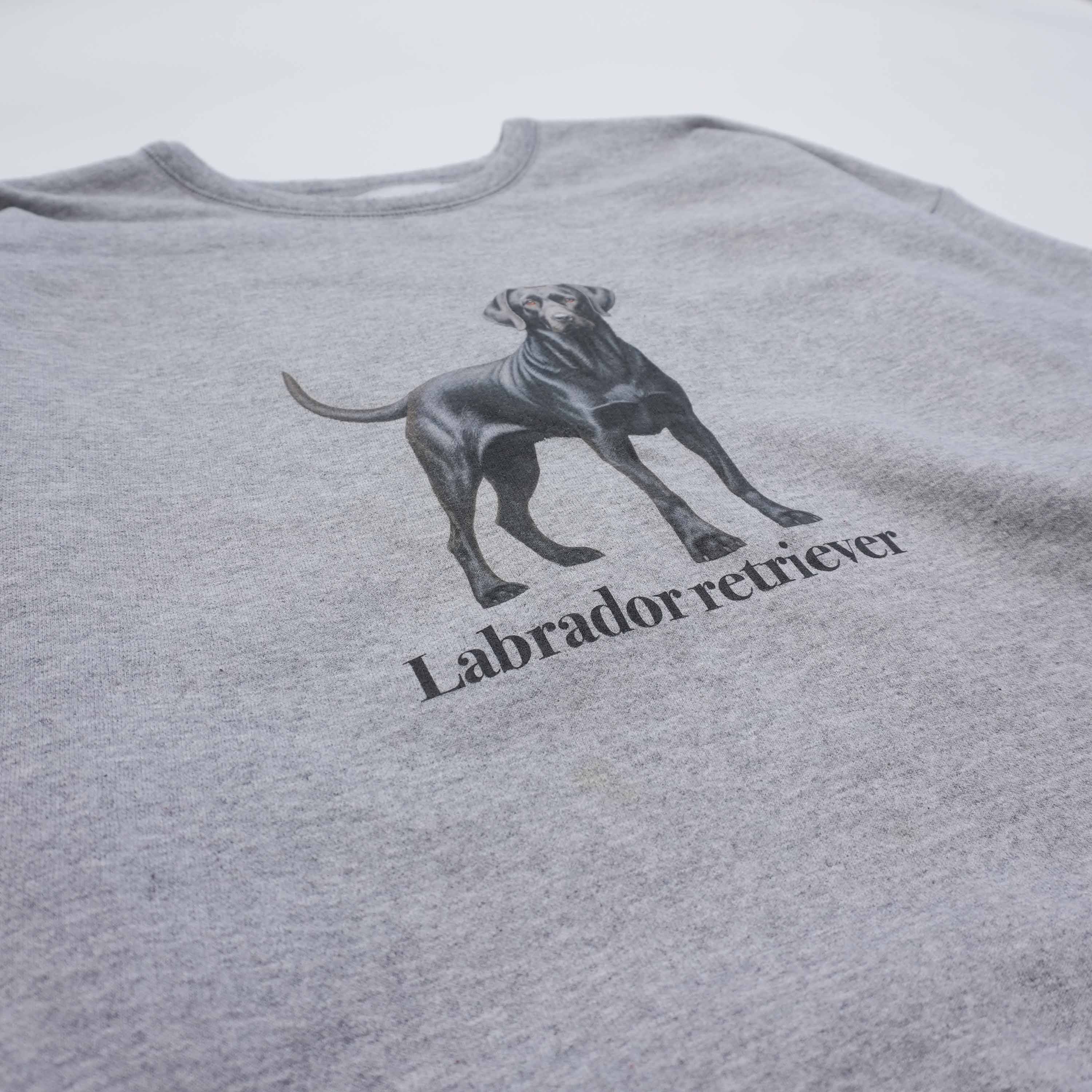 labrador retriever sweat light gray size XL