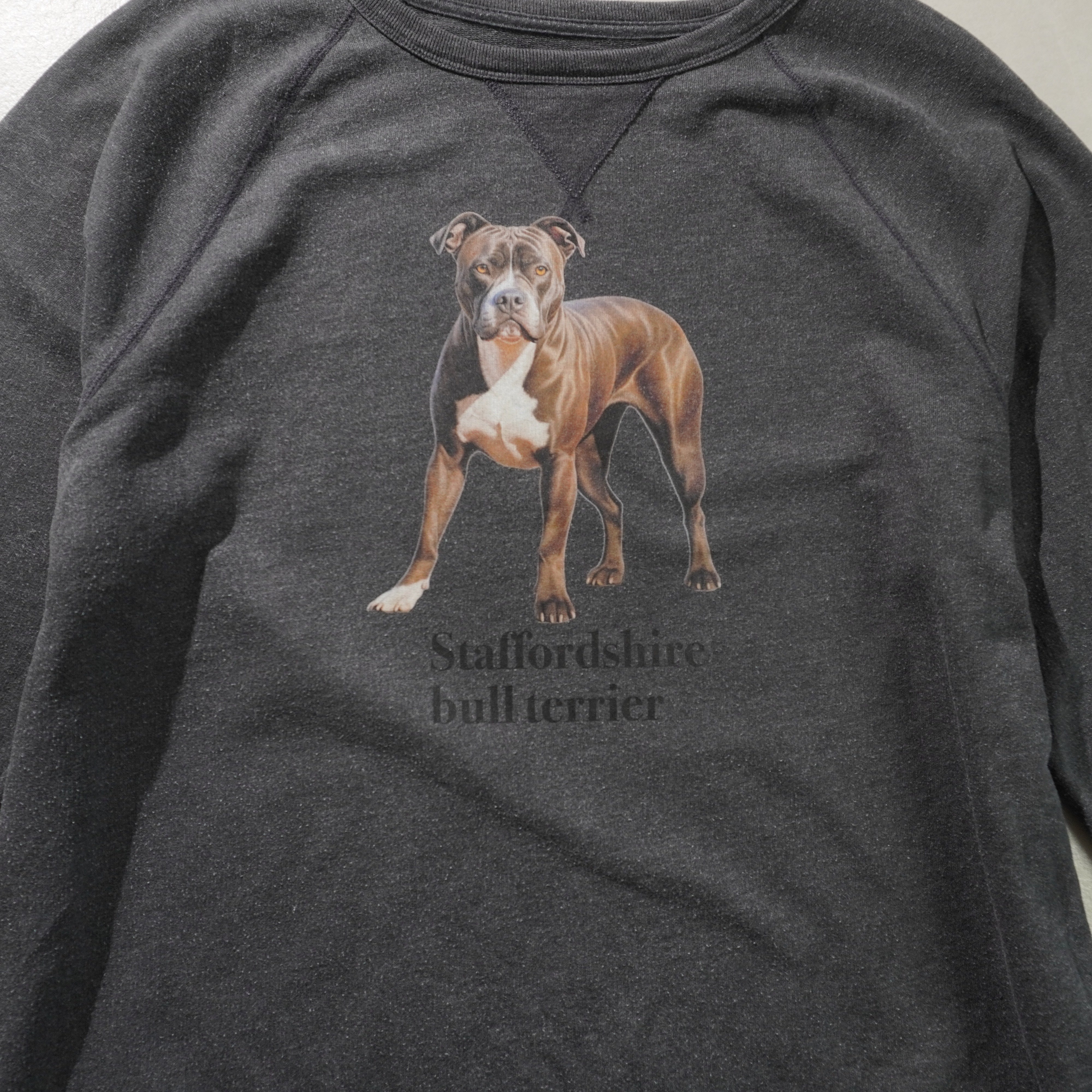 staffordshire bull terrier sweat gray size L