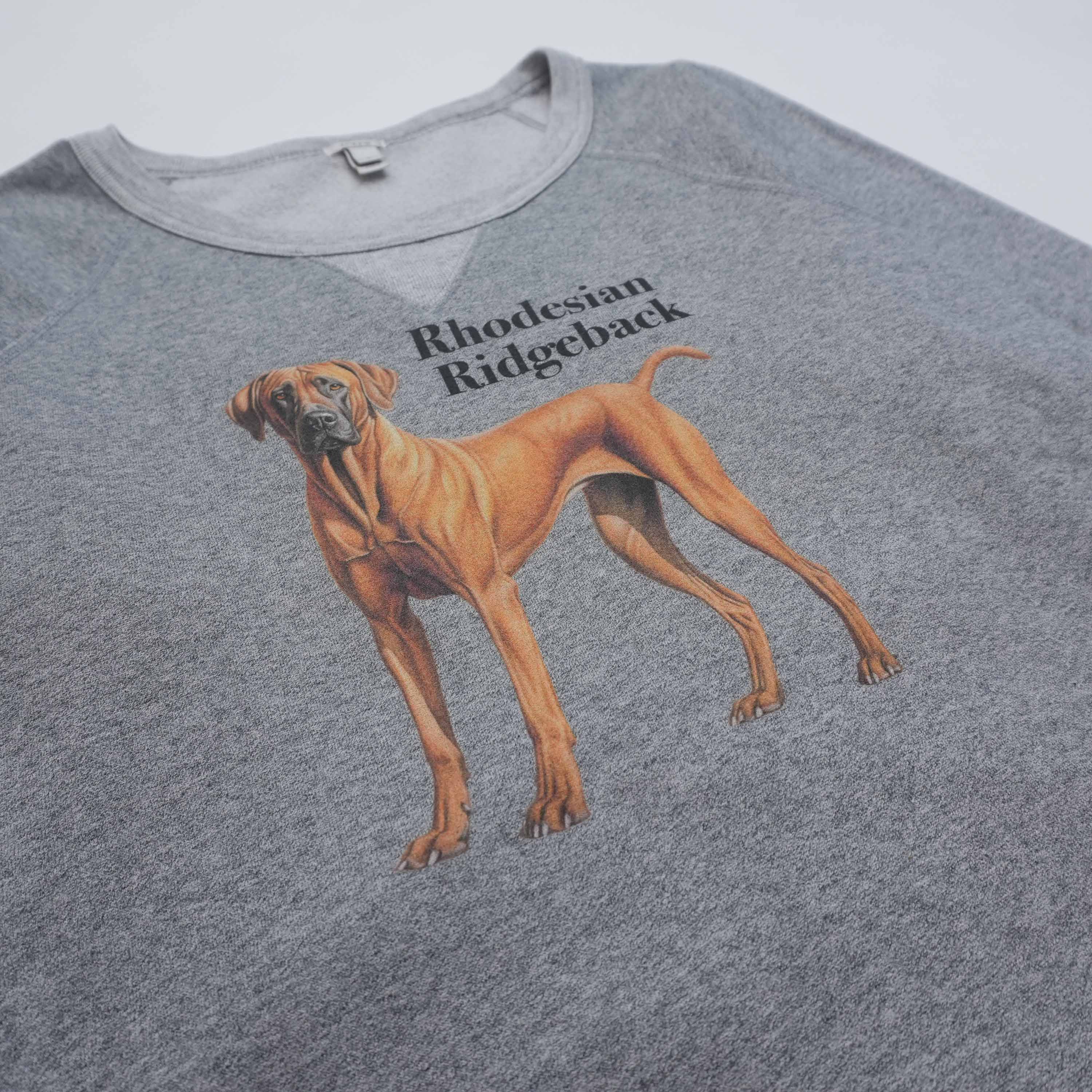 rhodesian ridgeback sweat light gray size L